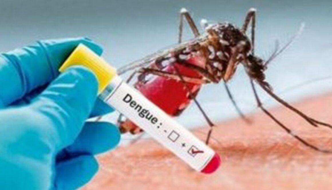 dengue-1025994